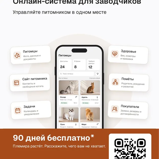 Ди Элизиум, фотография 1